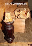 leg